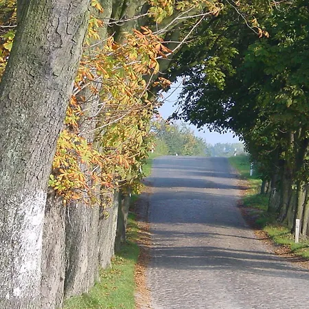 Granitz 21 In - Nur Paar Schritte Bis Zum Goehren (Ruegen)